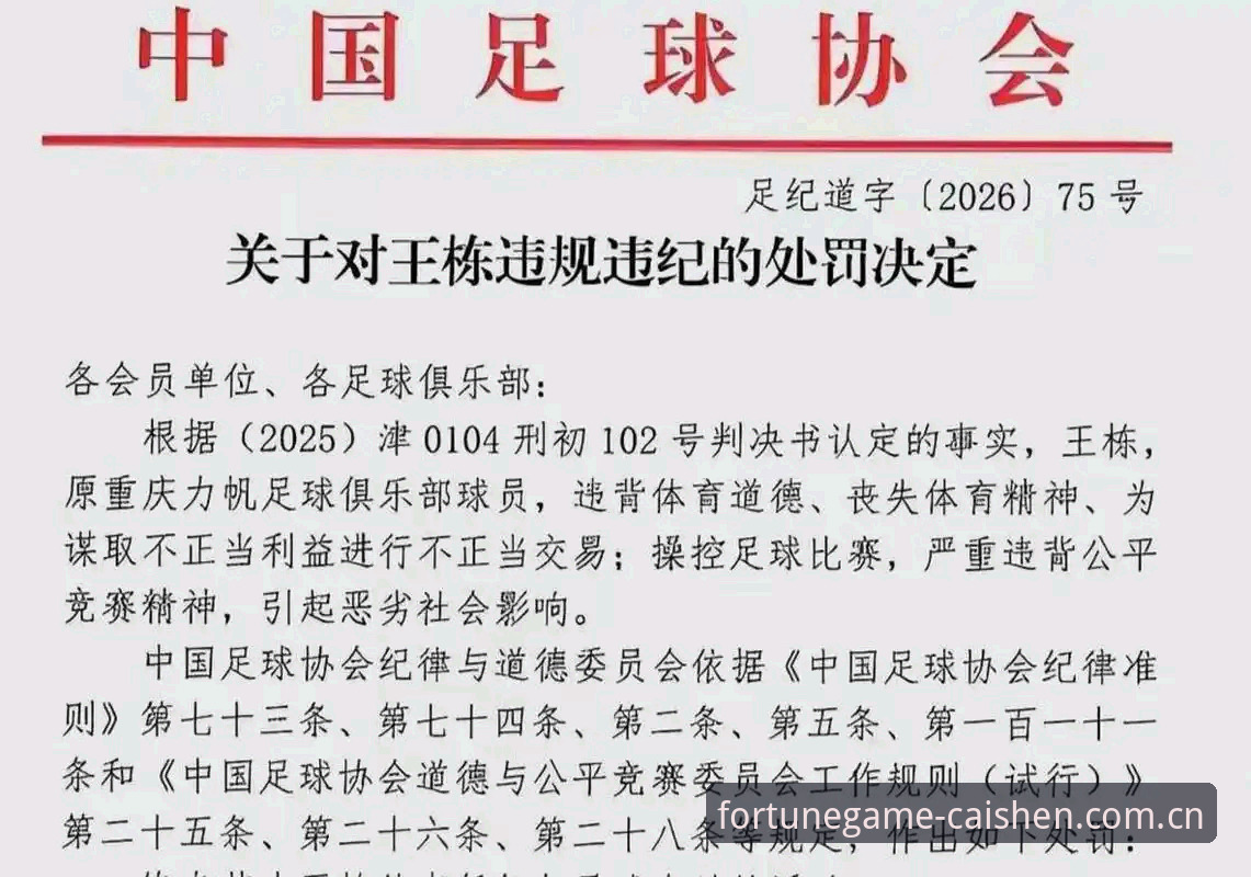中国足协第三批禁足名单全面解析：17人终身禁赛背后的行业反腐风暴
